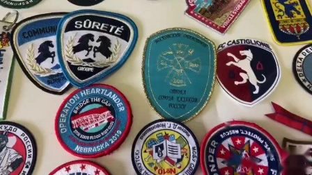 Patch de broderie de mode professionnelle de qualité supérieure pour vêtements/chapeau/chaussure/autre